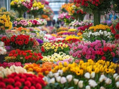 花海之旅，揭秘鲜花批发市场的优质花源