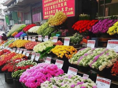 广州鲜花批发零售市场解析，行情一览与购花攻略