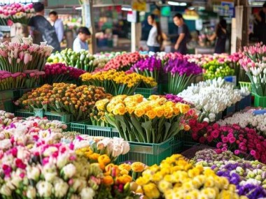 广州鲜花市场批发攻略，花店经营无忧新选择