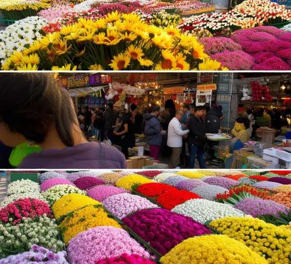 昆明鲜花批发市场行情实时分析,今日昆明鲜花批发价格一览，市场行情实时解读,鲜花批发,鲜花,性价比,第1张